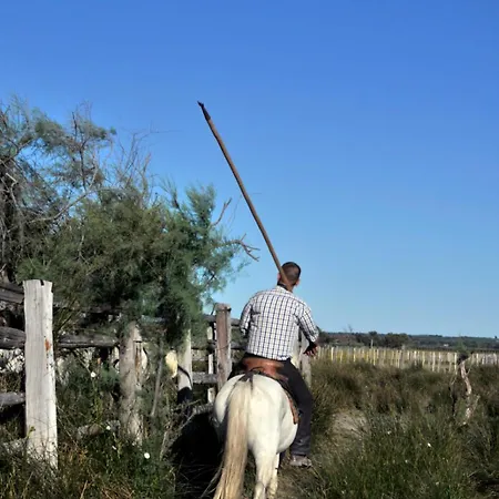 Appartamento Le Quai Aux Fleurs - Résidence Avec Piscine Proche De La Le Grau-du-Roi